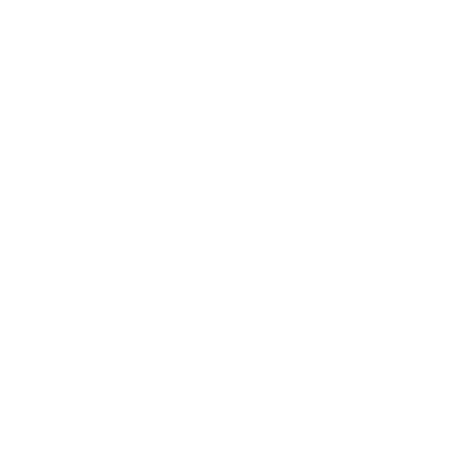 STEEZR Logo